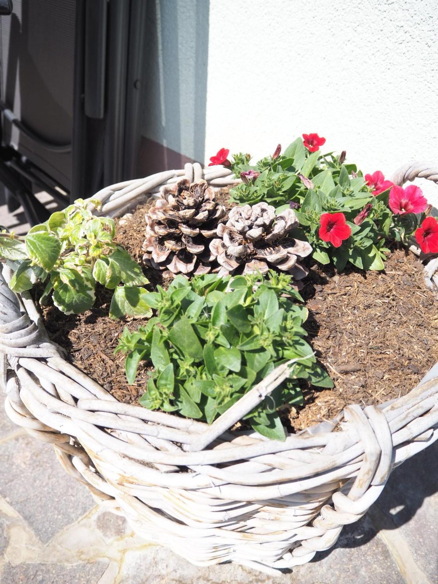 Appartement Felsenheim Westendorf Extérieur photo